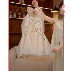 Little Girl Summer Dress 2024 New Fashion Little Girl Net Dress Children Sleeveless Sparkling Princess Dress