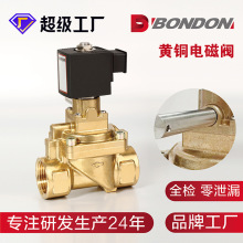 定制二位二通黄铜先导膜片式电磁阀手动开关消防水用电磁阀