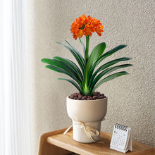 �����m�����҃ȿ͏d�k��������Gֲ�����ļ��������F���B���˻���