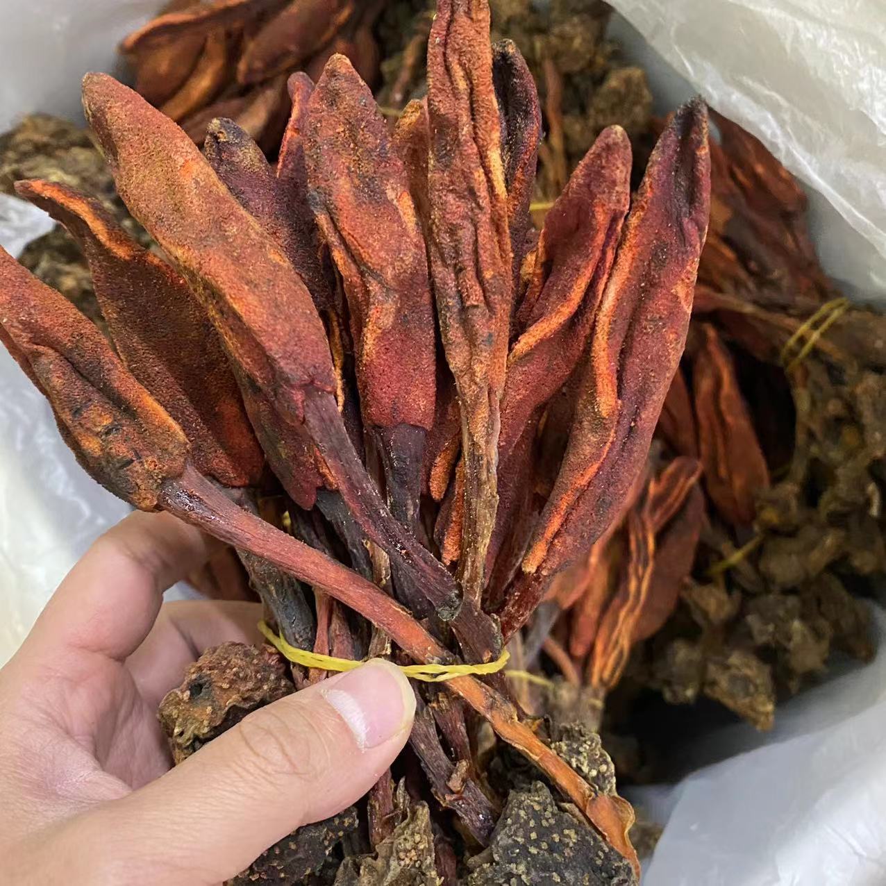 云南回春草中药材草苁蓉整颗无碎不老草顶天柱泡酒料包批发代发-阿里巴巴