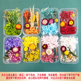 Wholesale Mixed Dried Flower Eternal Flower Float Flower Handmade DIY Candle Dropping Glue Photo Frame Group Fan Pressure Flower Material Bag