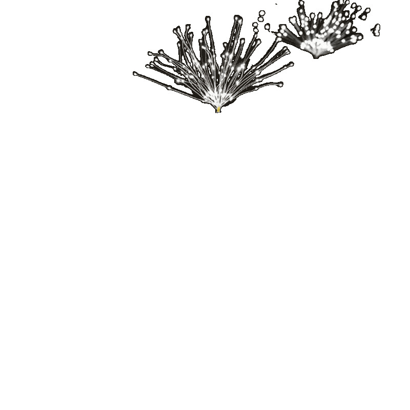 Solar lámpara de cobre lámpara de fuegos artificiales jardín decoración impermeable diente de león string lámpara de explosión de césped