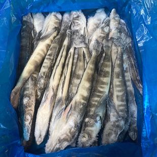 �ϘO���~������~��~���|�r�۠I�B�S�����a�~�����10������