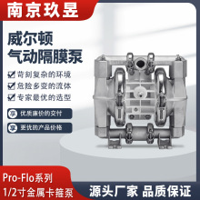 wilden�����D��Ӹ�Ĥ�ô�����P1/SSPPP/TNU/TF/STF/0014�͸��g��