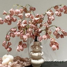 沼ˇɳF۟\֦lҾӷՇbzӰĔz