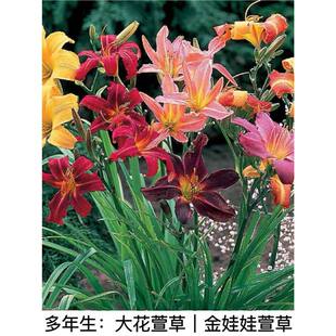 ����ݾG�����n���޸��ͺ���������ݻ���ر�ͥԺ�̨���Ի���