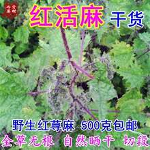 �t���� �ɼt�n����ж�500g���]���X�� �Ĵ�����U�~��؛��؛
