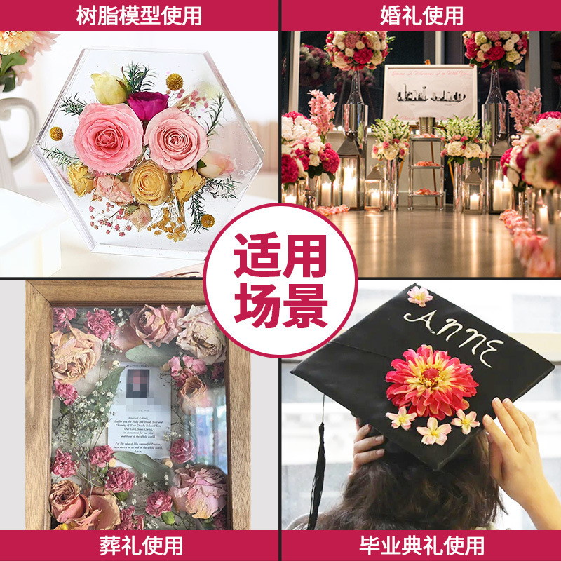 [Chengfeng] 500g flor desecante al por mayor flor eterna desecante silicona arena absorción de humedad rápida reutilización
