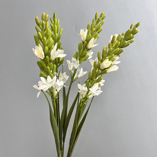 滨ҹ FҾbcLӰɏٻ