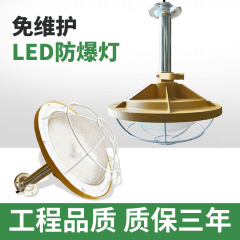 Led防爆灯超亮工場防爆灯明装工場専用鉱工業灯工場防爆地雷灯
