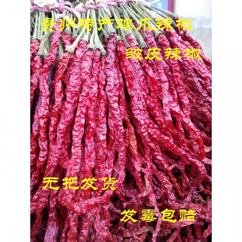 Vitex Guizhou specialty Chicken feet Pepper Reinwardtia Pepper Dried chili factory wholesale