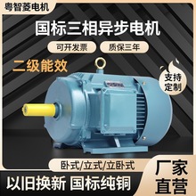 ҹӦ첽綯YE4-315M-6 90KW6P(90ǧ6)