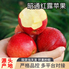 �t¶�O���������r�������t¶�t�O����ͨ�O��������O��һ�����l