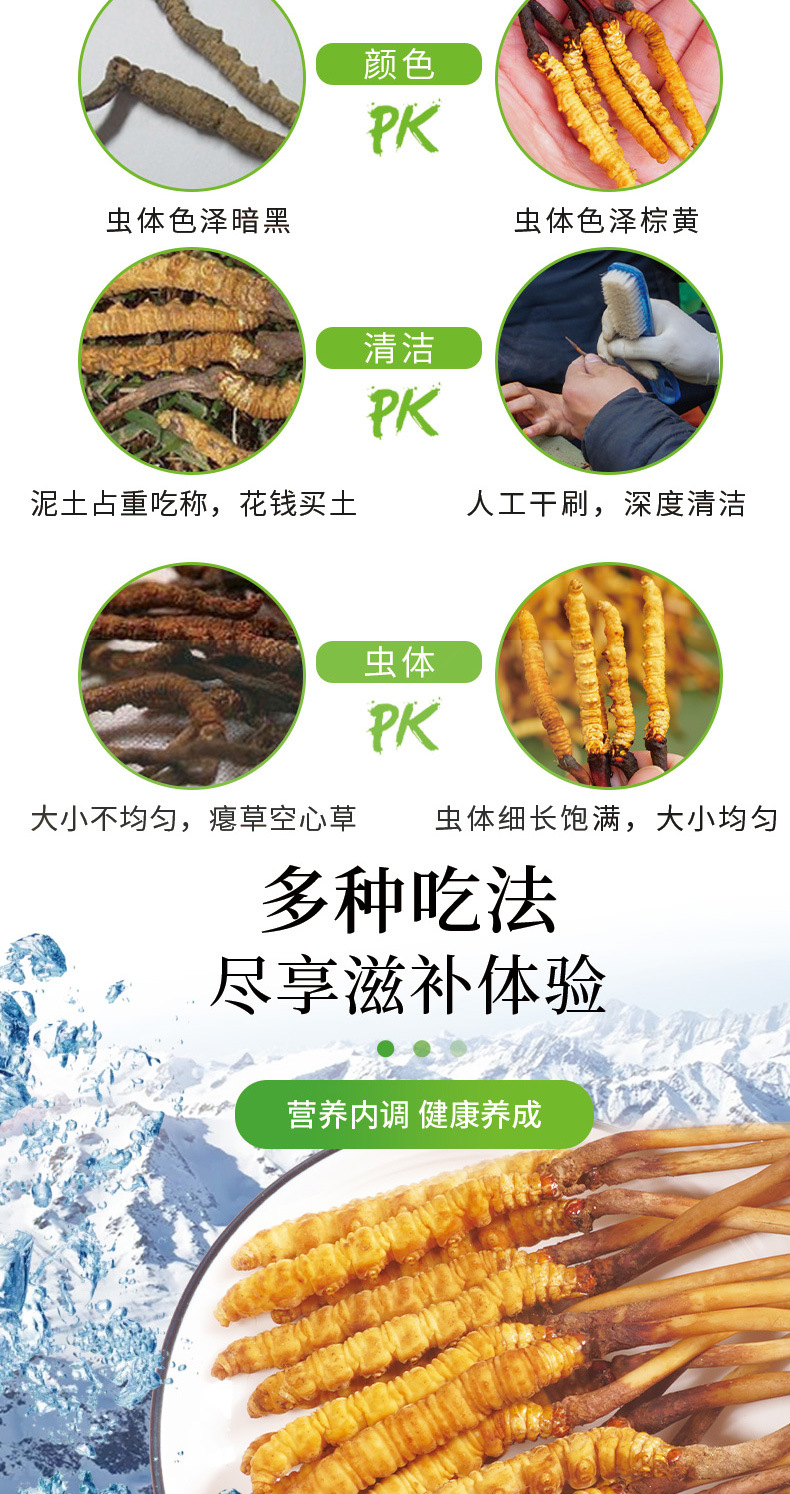 新鲜虫草_12.jpg