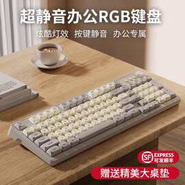 前行者G98有线静音键盘RGB灯效办公电脑笔记本机械手感办公键盘