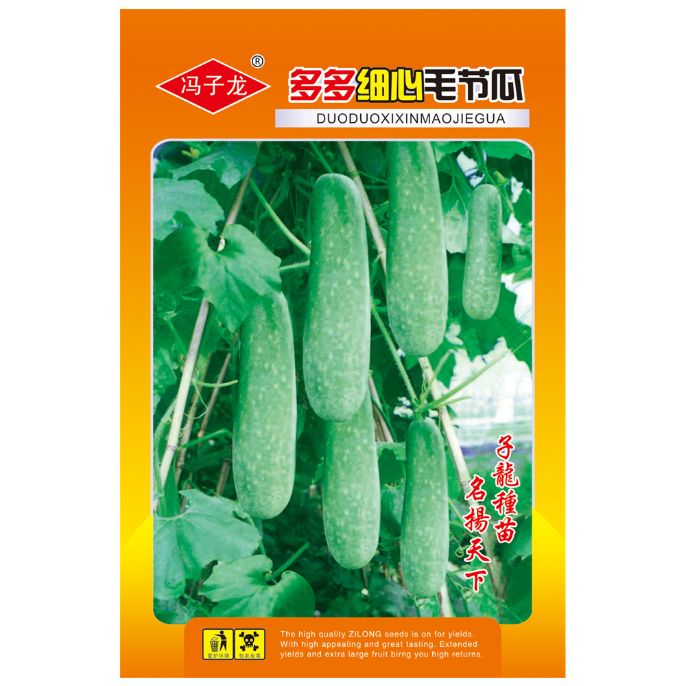 冯子龙种苗公司直售批零大田基地种植蔬菜种子  多多毛节瓜