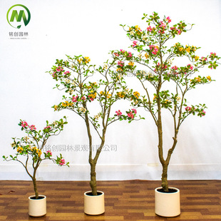 ��Ʒ���溣�u�������辰�پGֲ���� ���޼Ҿ��b��ú��u��������