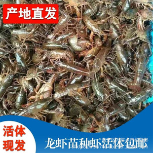 ����ֱ�N�r�����r�����lС���r��