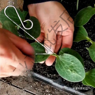 ������޽�ᘼ޽ӳ��W�߹�������������߲�ѿ�ӵ��޽ӵ�