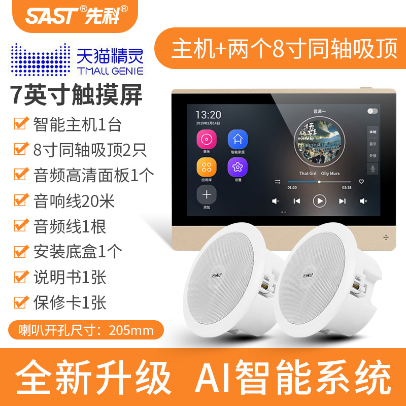 [내장 Tmall Elf] 호스트 + 8inch Audiophile 동축 천장 스피커 2개