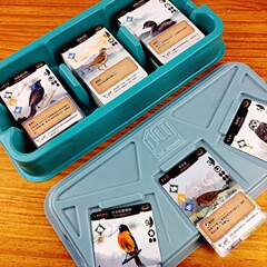 Wings Board Game Card Expansion Wings Flying Game Party WINGS Birds Light Strategy Board Game