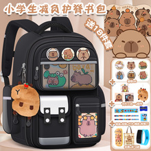 �¿�С�W��������Ƥ������1-6�꼉�������o���к�Ů���p����S��