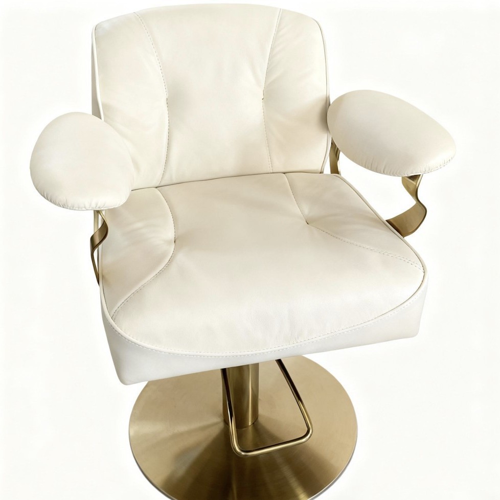 Factory Direct Sales Grooming Chair, Barber Chair, Beauty Chair, Recliner, Dentist Chair, Beauty Chair, Functional Chair, Footrest Chair, Wound Removal Chair