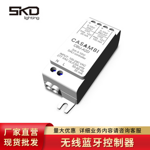 Manufacturers Wholesale Lamps Wireless Controller Bluetooth Sensor Control Led Smart Driver Casambi