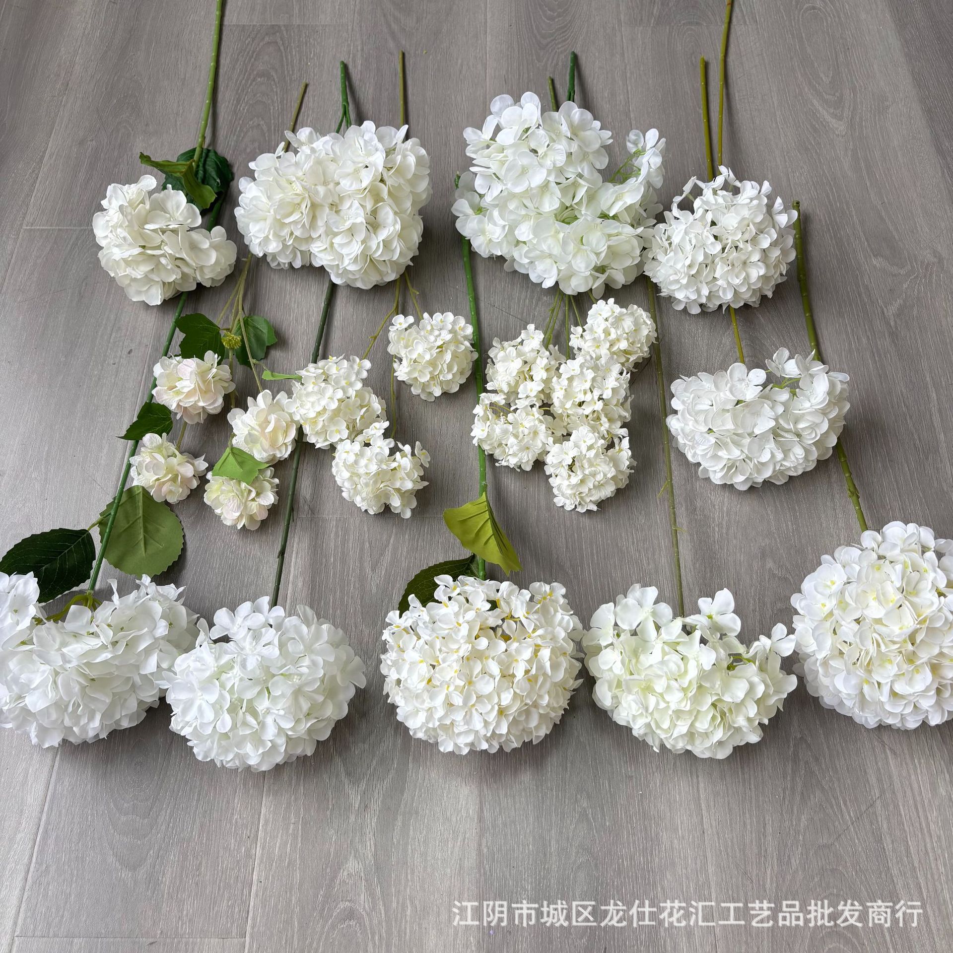 合集3.jpg