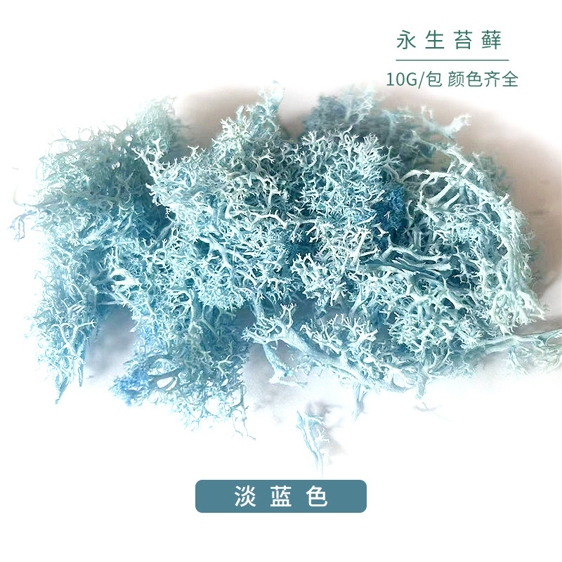 Biru muda / 10g