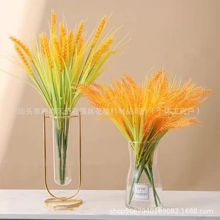 �������뵾��@�ֹ��������bٻ���@�L�r����ˮ���Ĕz�������l