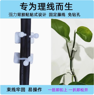 �tʢճ�NʽŤ���hTTB-08 �������z �S��ֱ�N
