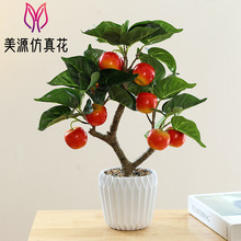 ٻSֲˮ辰҃Ȕ[GֲԁRdGֲ