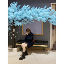 ������{ɫ�ѻ����һ���٘�����쾰�҃ș������b��S仨��