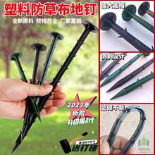 ���ݲ���ᔳ��ݲ����������֦��Ĥ�̶���Ƥu�Ͷ����̈@ˇ�ز��