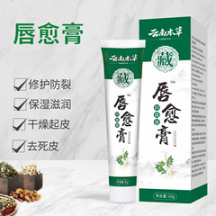 雲南の本草の唇の癒しの膏の子供の成人の潤唇の炎の膏の口の唇の膏の唇は裂けて唇を潤して唇の膏を修復します。