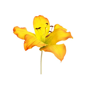 ���ͼ�ˇ�쾰�����w�ֹ����������b�Y���ղ��ô��ͷ���ٺϻ�