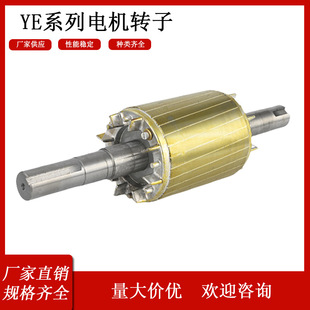 三相異步電動機轉子 電機配件轉子廠家直銷