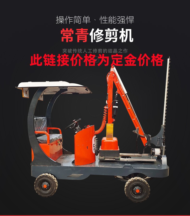 O1CN01lIdYzf1yASKJnLG16_!!2200