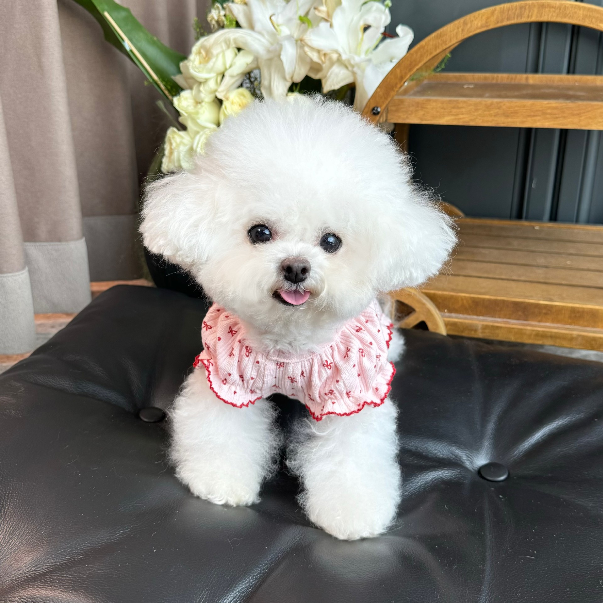 Ropa de mascotas otoño y invierno nuevo chaleco de manga de burbuja elástica todo incluido abrigo de abdomen para perros que osos Teddy ropa para el hogar