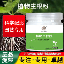 快速生根粉壮苗粉剂植物通用营养液多肉绿萝花卉扦插强力生根粉