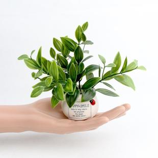 Creative Simulation Green Plant Potted Flower Plant Auspicious Fruit Potted Plant Car Central Control Bonsai Mini Flower Pot Ornaments Potted Plant