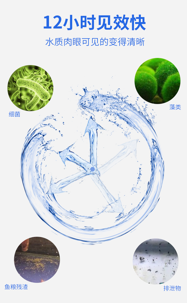 Nitrifying bacteria_05.jpg