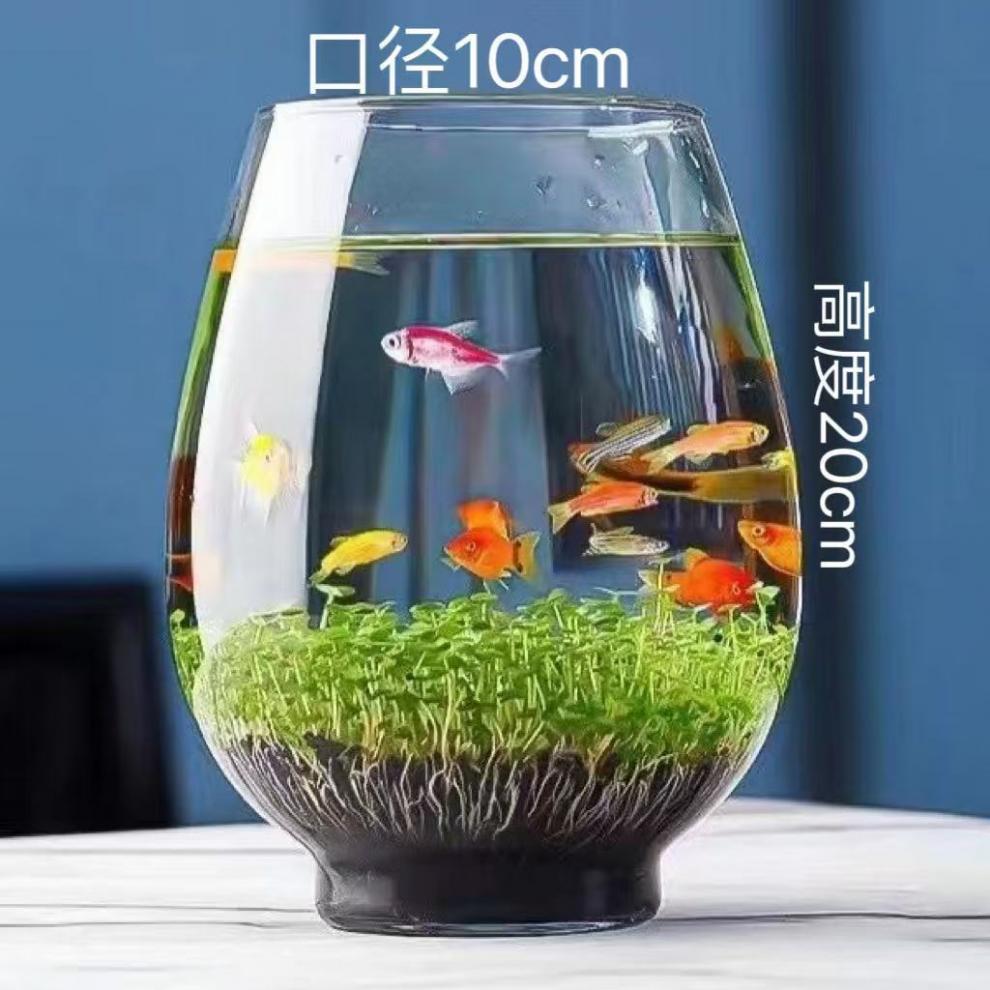 203a835d-430f-40c2-b5cb-67fec528a15e.jpe