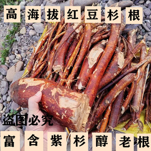 Ұ���t��ɼ�� �t��ɼ����ΰ��] �����мt��ɼƤ �t��ɼ�~ ��