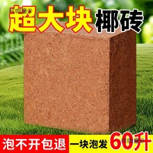 9���KҬ�u�I�B���B����Ҭ�Ӛ�����Ү�u�N������Ó�}Ҭ����̫��