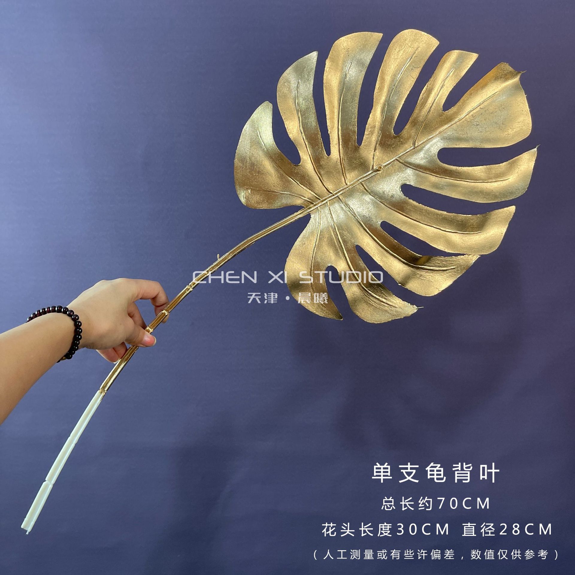 거북이 잎