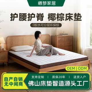 天然3e椰棕床垫家用卧室乳胶棕榈偏硬榻榻米薄垫子护脊护腰可定制