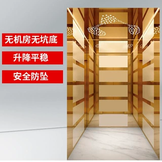 家用电梯别墅升降梯小型无地坑无机房静音稳定阁楼观光曳引式电梯