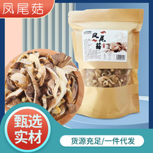 平菇条凤尾菇农家新货批发云南产真姬菇凤尾菇北风菌菇丝条可代发
